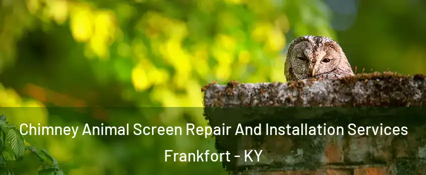  Chimney Animal Screen Repair And Installation Services Frankfort - KY