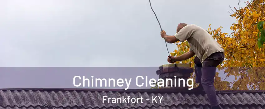  Chimney Cleaning Frankfort - KY