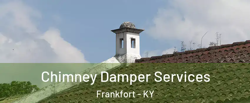  Chimney Damper Services Frankfort - KY