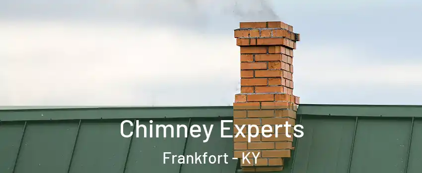  Chimney Experts Frankfort - KY