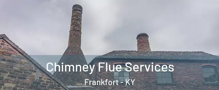  Chimney Flue Services Frankfort - KY