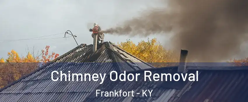  Chimney Odor Removal Frankfort - KY