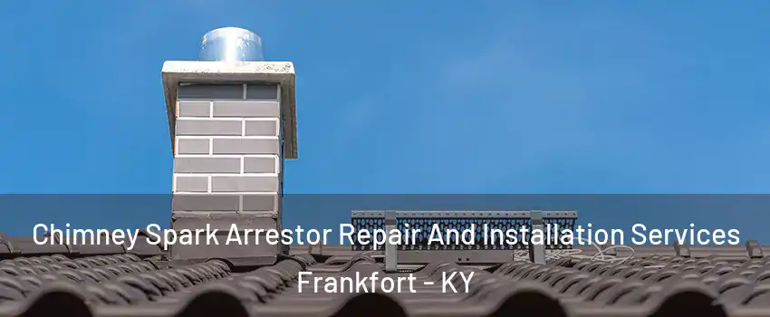 Chimney Spark Arrestor Repair And Installation Services Frankfort - KY