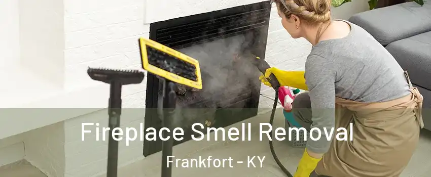  Fireplace Smell Removal Frankfort - KY