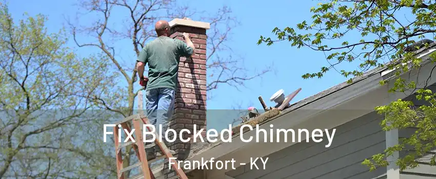  Fix Blocked Chimney Frankfort - KY