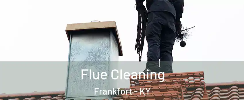  Flue Cleaning Frankfort - KY