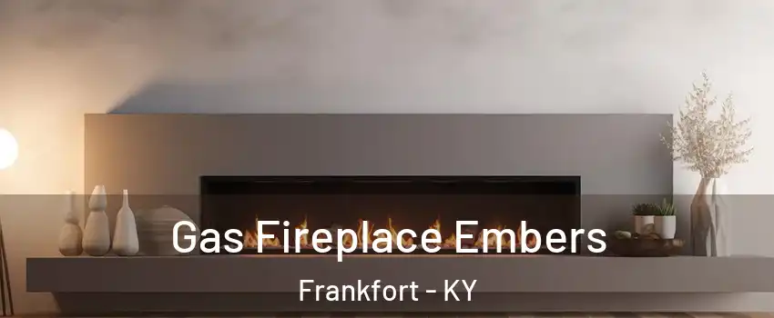  Gas Fireplace Embers Frankfort - KY