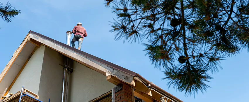 Birds Removal Contractors from Chimney in Frankfort, KY