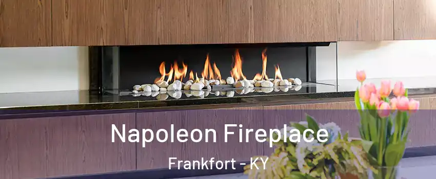  Napoleon Fireplace Frankfort - KY