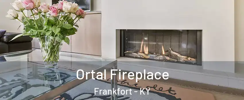 Ortal Fireplace Frankfort - KY